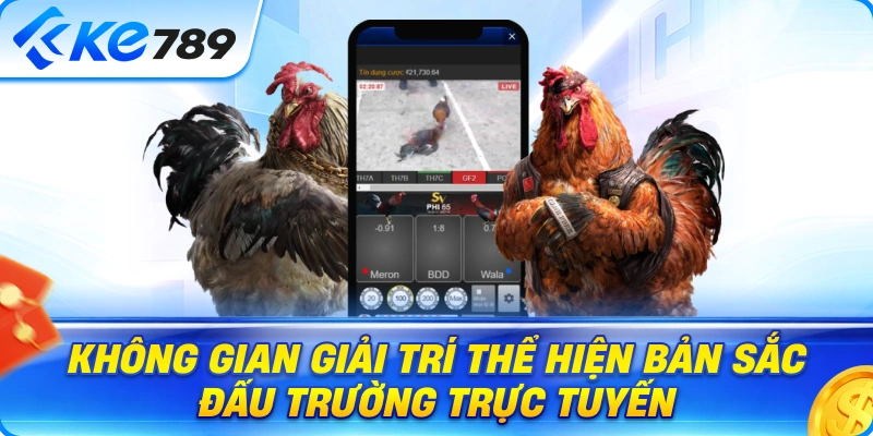 Đá Gà Ke789 – Không Gian Giải Trí Thể Hiện Bản Sắc Đấu Trường Trực Tuyến
